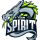 Team Spirit