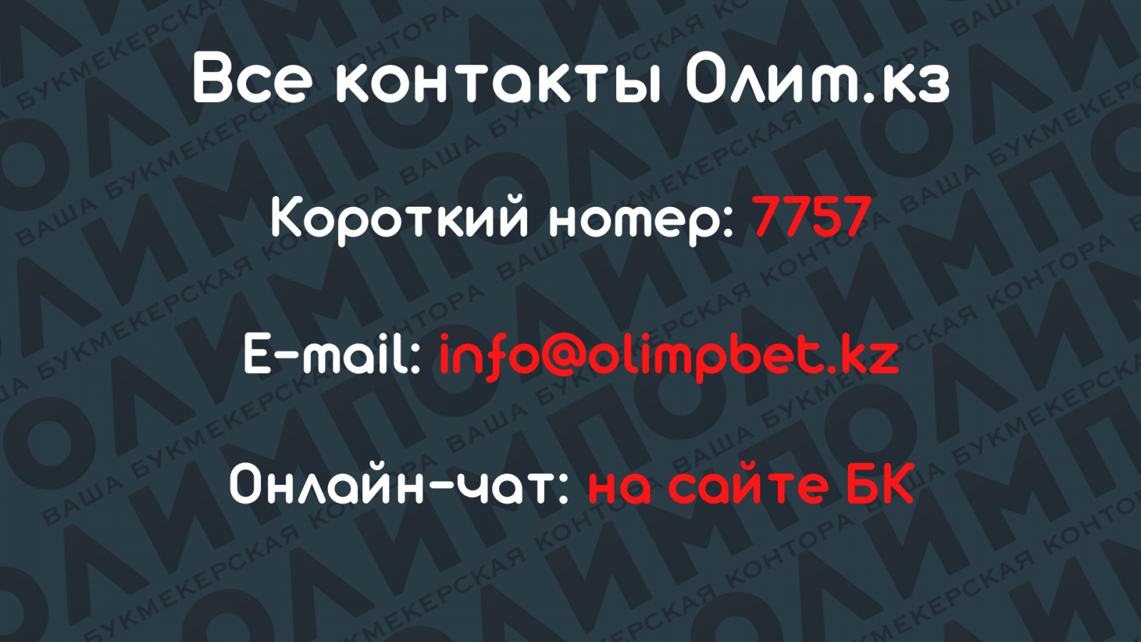 Служба поддержки Олимп Бет КЗ: способы связи, часто задаваемые вопросы и  ответы на них